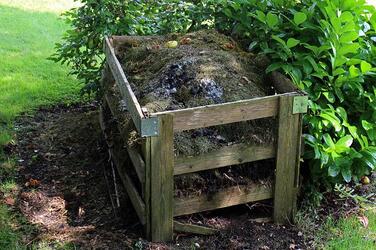 compost bin with yard waste showing