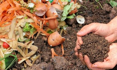 Food in a compost pile