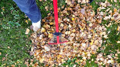 Person raking leaf yard waste together