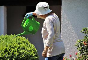 Woman watering shrub with watering can